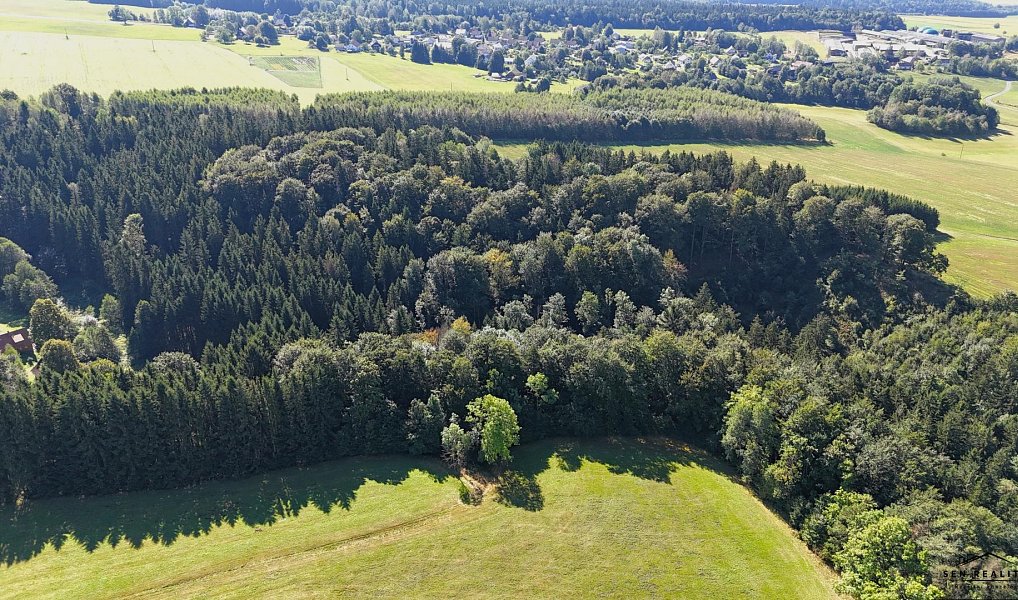 Prodej lesa 9 005 m², Liberk – náhled fotky 4