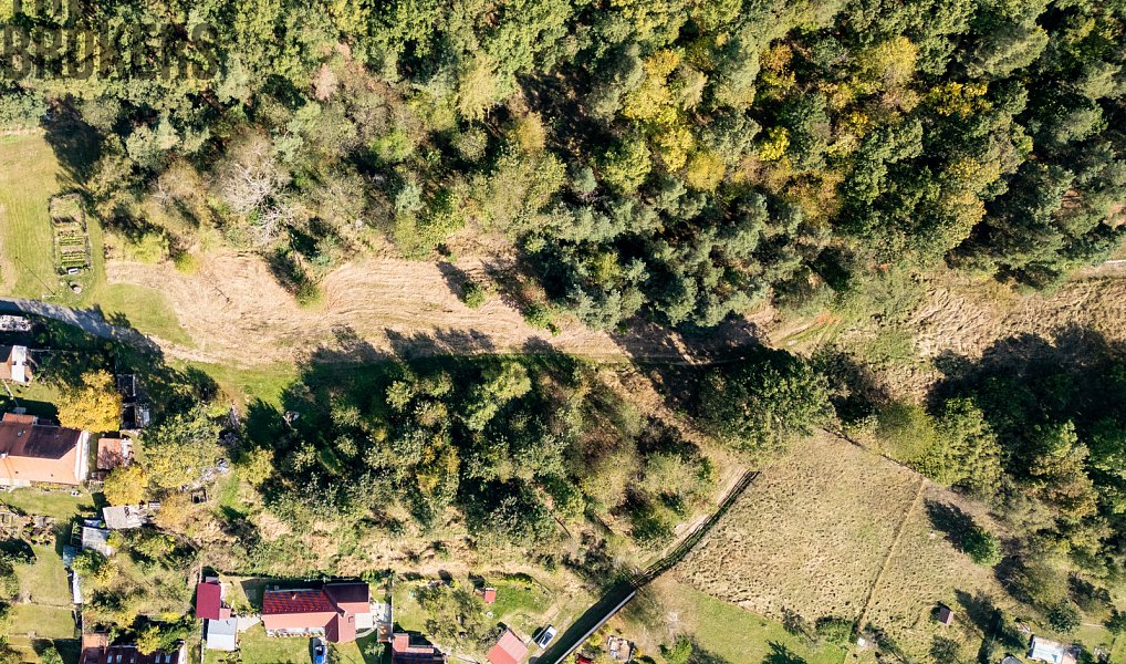 Prodej stavebního pozemku 800 m², Bezdědovice – náhled fotky 7