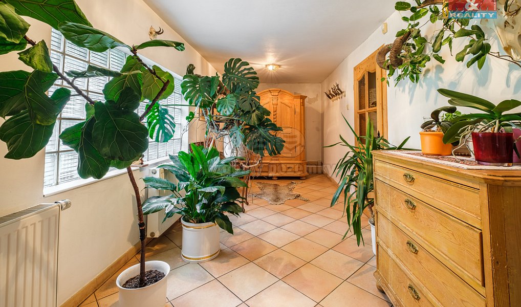 Prodej domu 105 m² s pozemkem 9 749 m², Krásný Les – náhled fotky 17
