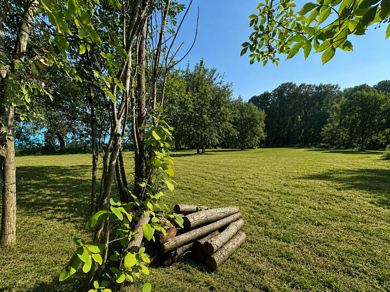 Prodej stavebního pozemku 2 600 m²