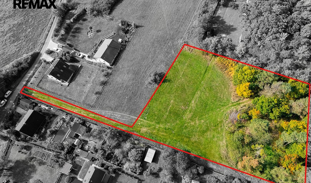 Prodej stavebního pozemku 4 000 m², Lážovice – náhled fotky 6
