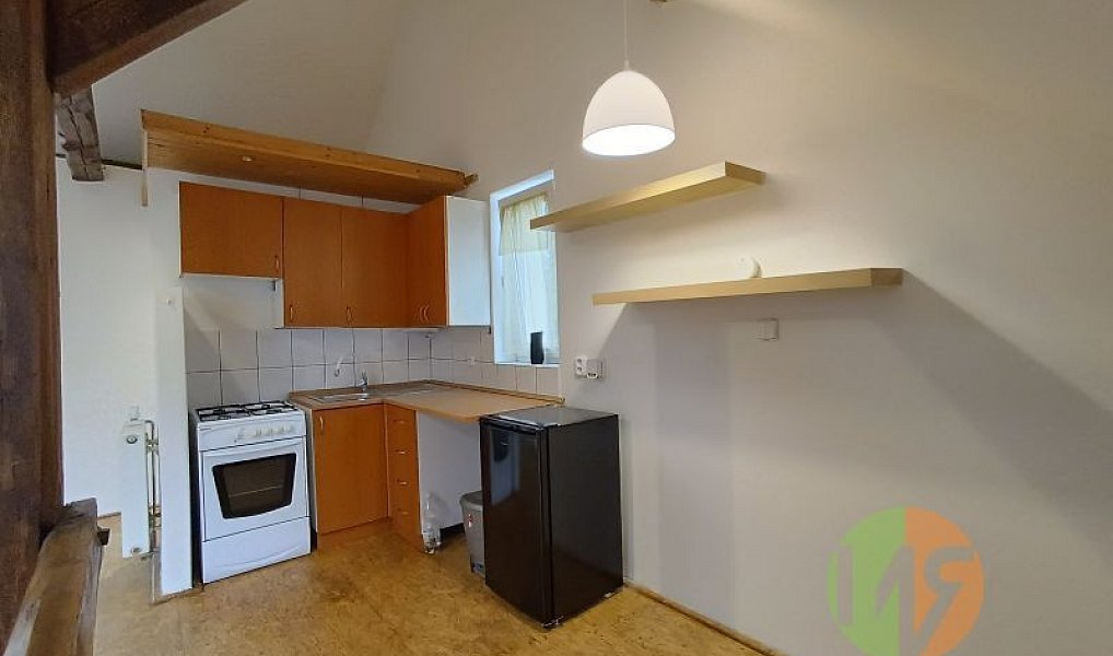 Pronájem bytu 1+kk 60 m², České Budějovice – náhled fotky 2