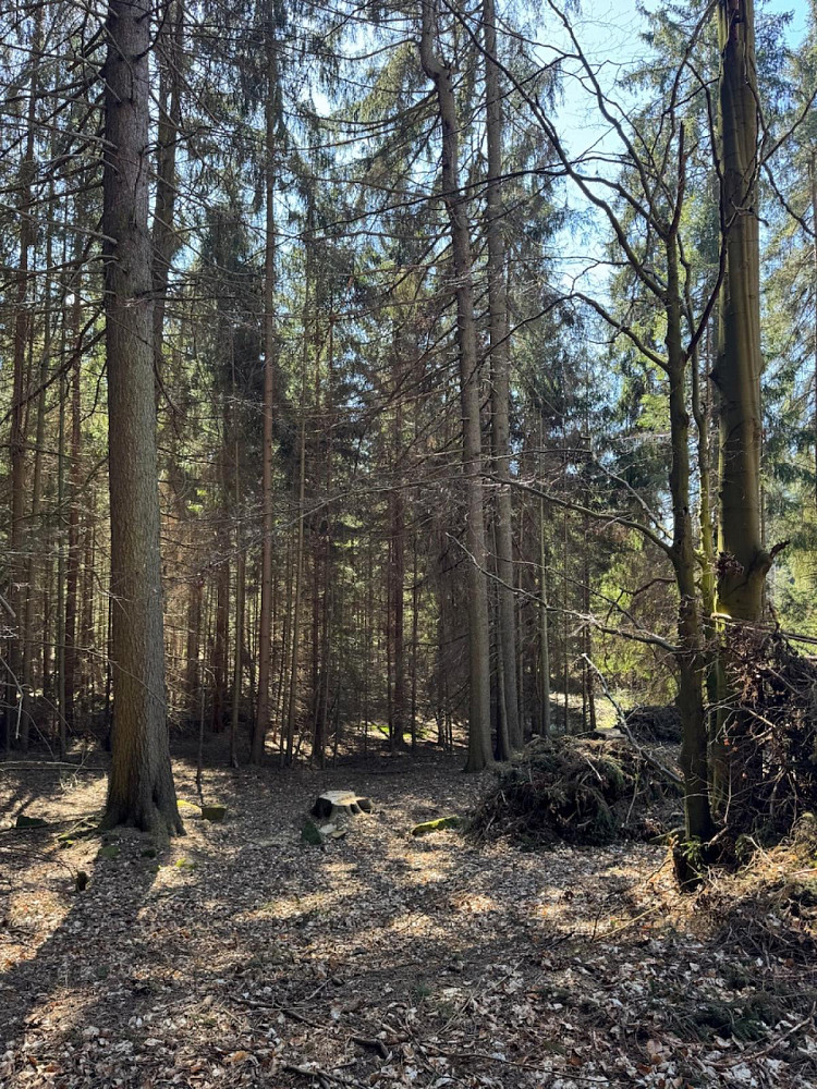 Prodej pozemku 18 432 m² – pohled 6