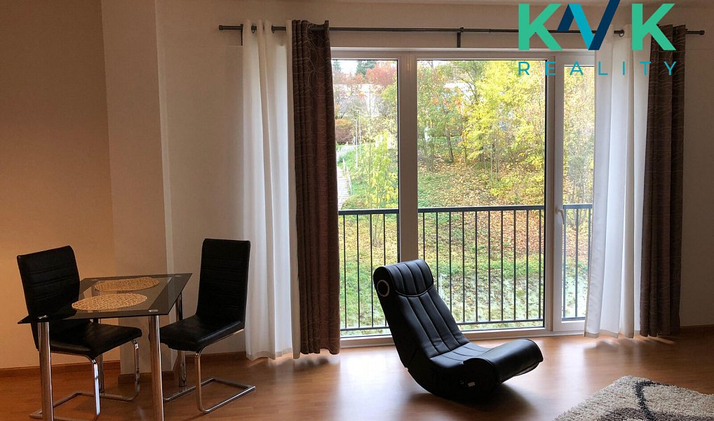 Pronájem bytu 1+kk 47 m², Karlovy Vary – náhled fotky 4