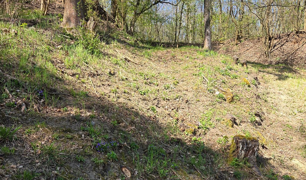 Prodej zahrady 1 147 m², Kralupy nad Vltavou – náhled fotky 3