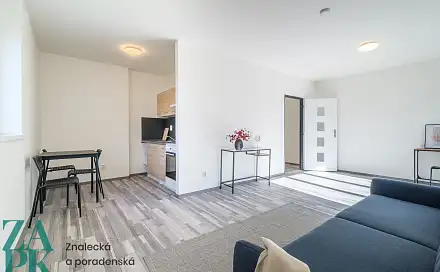 Pronájem bytu 1+kk 34 m², Purkyňova, Ústí nad Labem - Střekov