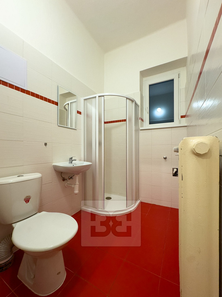 Pronájem bytu 1+kk 26 m² — photo 5