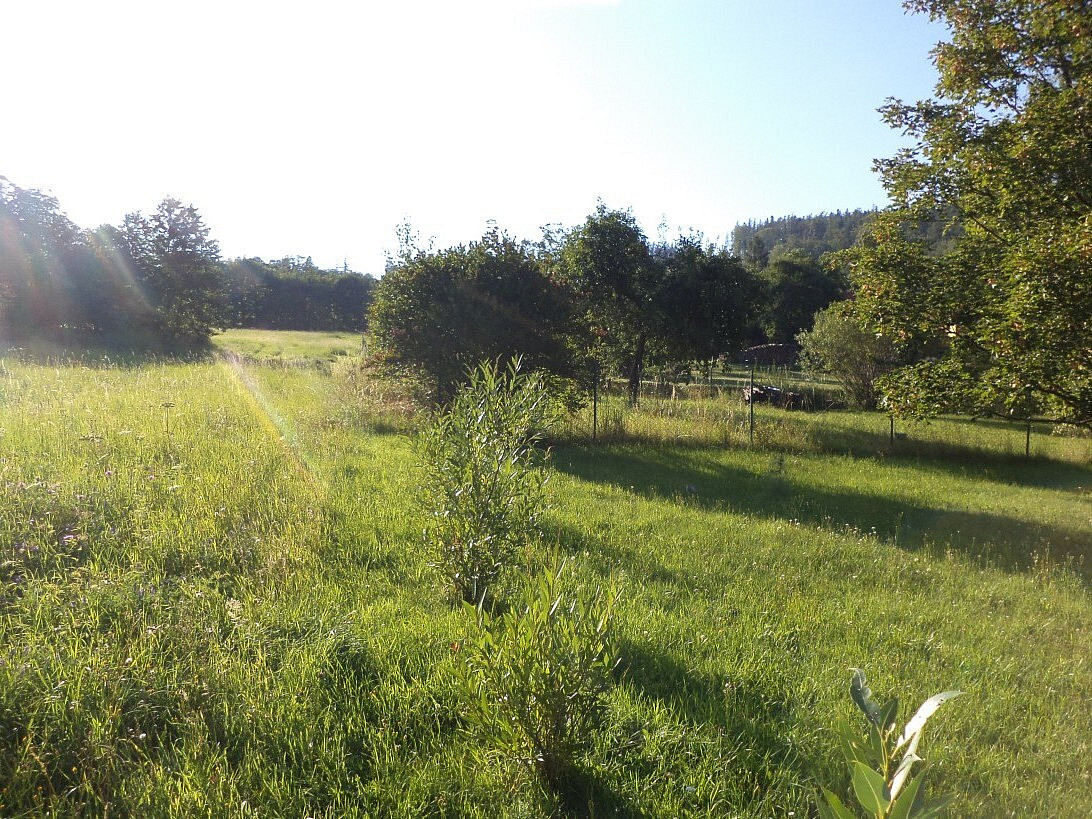 Dražba zahrady 694 m²