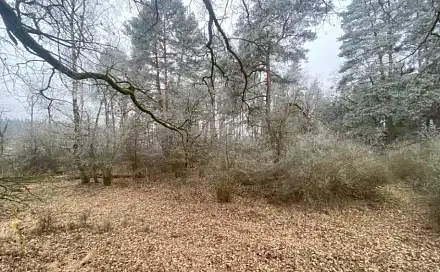 Dražba pole 13 059 m², Kadov