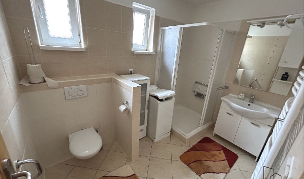 Pronájem domu 699 m² s pozemkem 620 m², Moravský Písek – náhled fotky 9