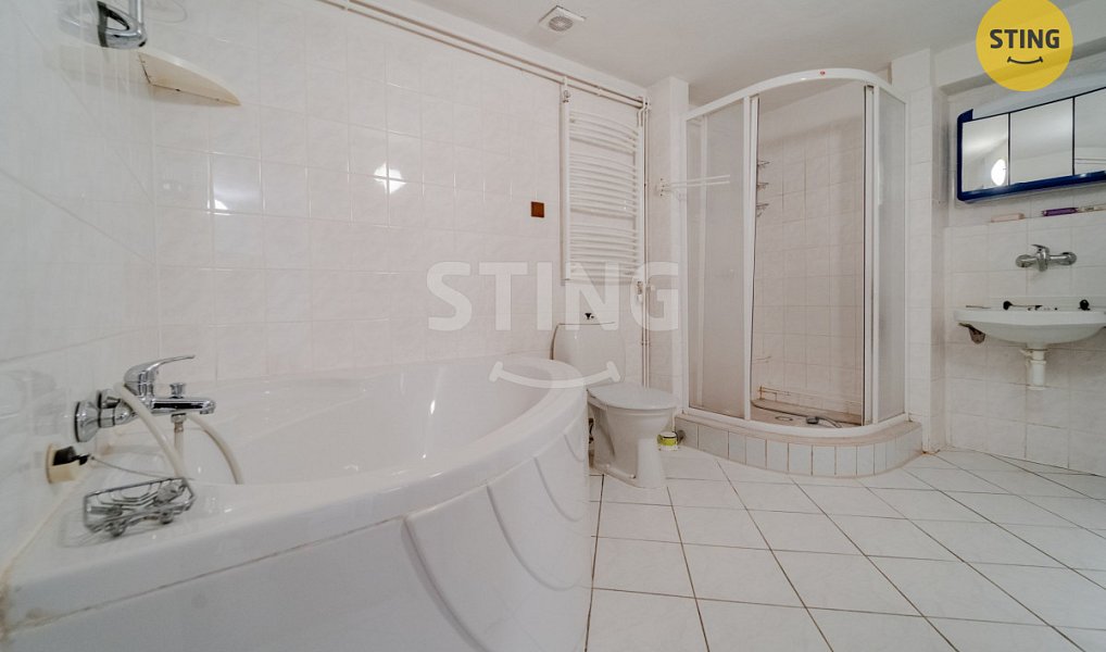 Prodej domu 497 m² s pozemkem 1 891 m², Větřkovice – náhled fotky 11