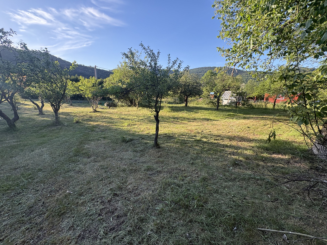 Prodej zahrady 1 298 m² – fotografie 2