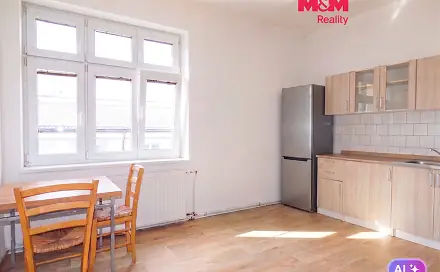 Pronájem bytu 1+1 40 m², Repinova, Ostrava - Moravská Ostrava