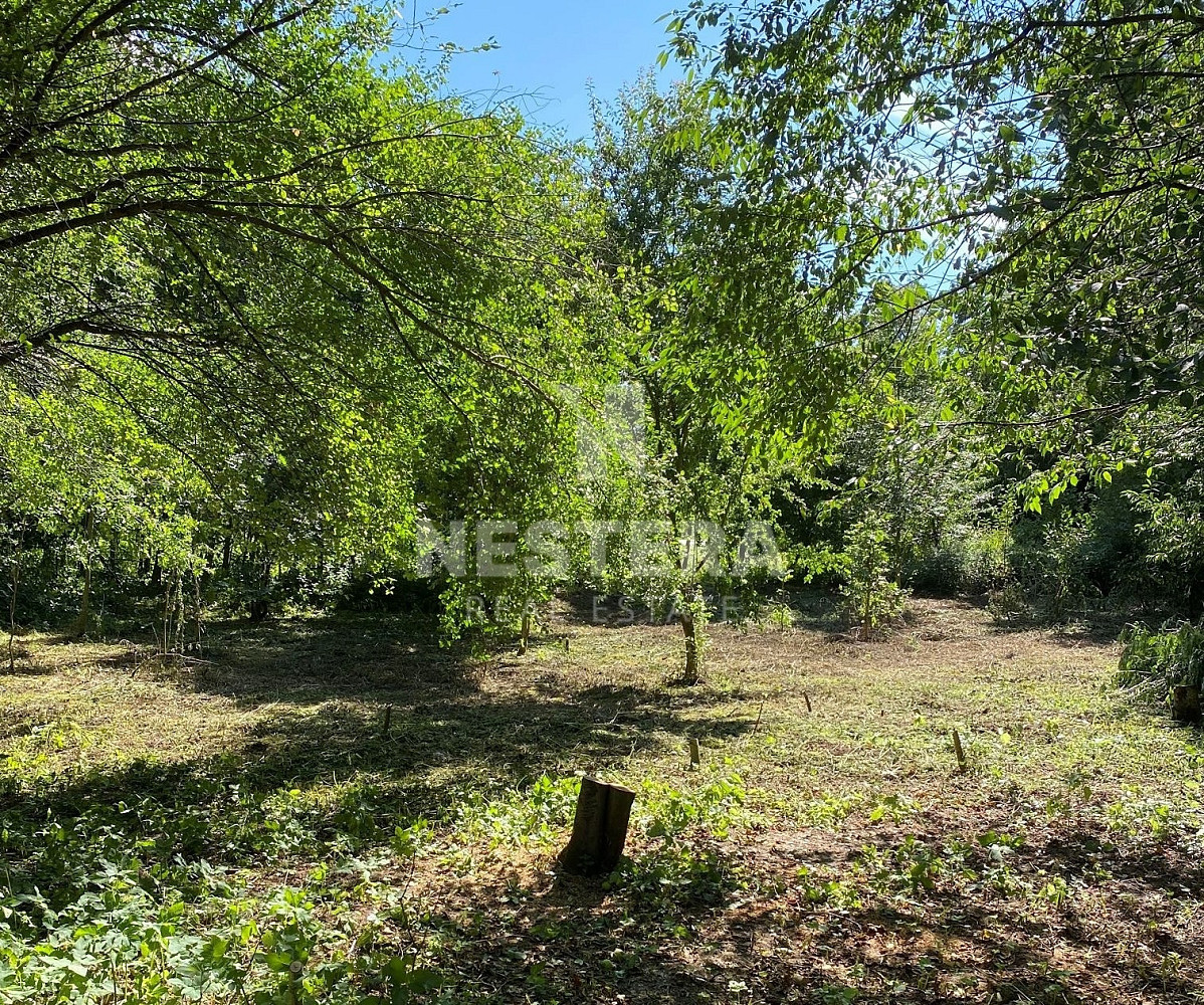 Prodej stavebního pozemku 5 321 m² – pohled 5