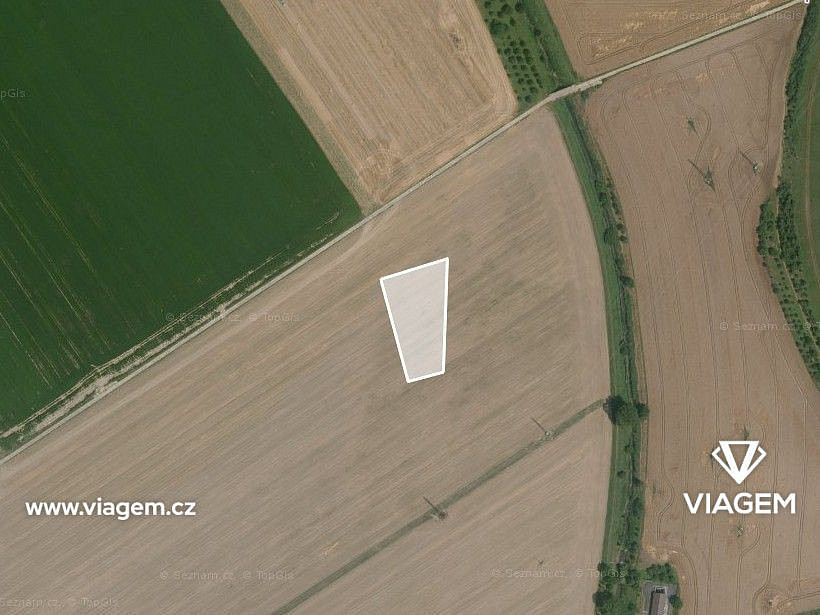 Prodej pole 2 428 m² – fotografie 2