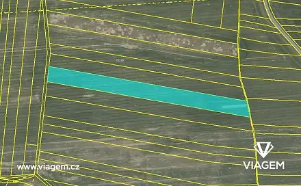 Prodej pole 2 944 m², Slabčice, okres Písek
