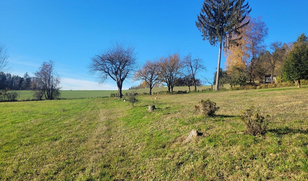 Prodej louky 6 834 m², Železný Brod – náhled fotky 14