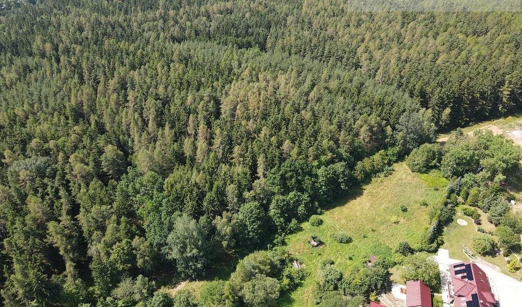 Pronájem bytu 1+kk 22 m², Příbram – náhled fotky 5
