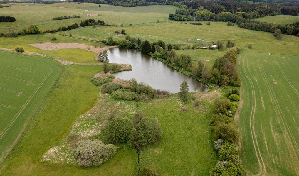 Prodej louky 5 250 m², Mladý Smolivec – náhled fotky 7