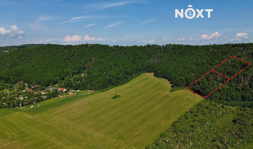 Prodej lesa 3 149 m², Chrustenice – náhled fotky 5
