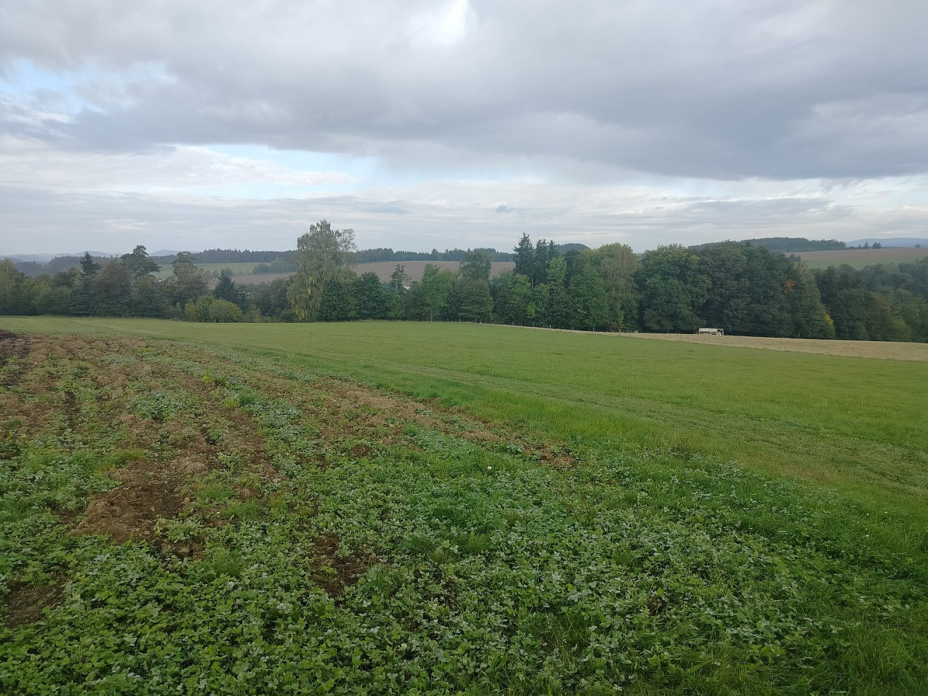 Prodej louky 15 200 m²