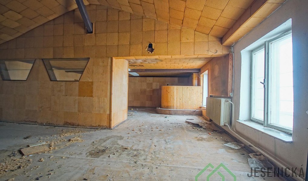 Prodej domu 790 m² s pozemkem 484 m², Javorník – náhled fotky 4