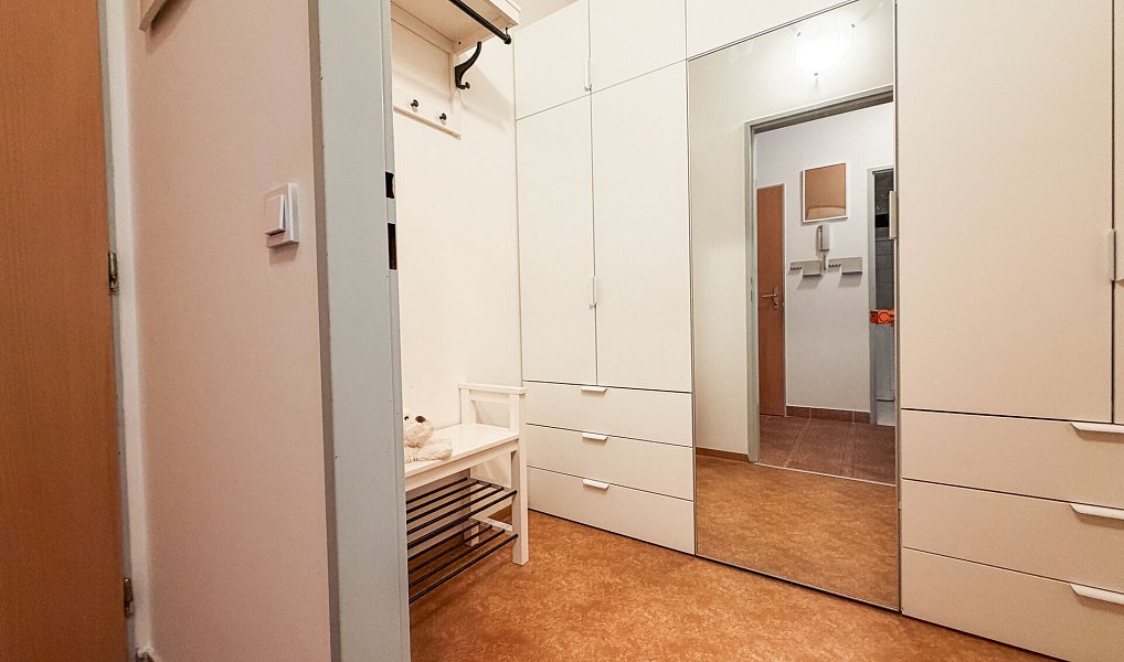 Pronájem bytu 1+kk 48 m², Praha – náhled fotky 9