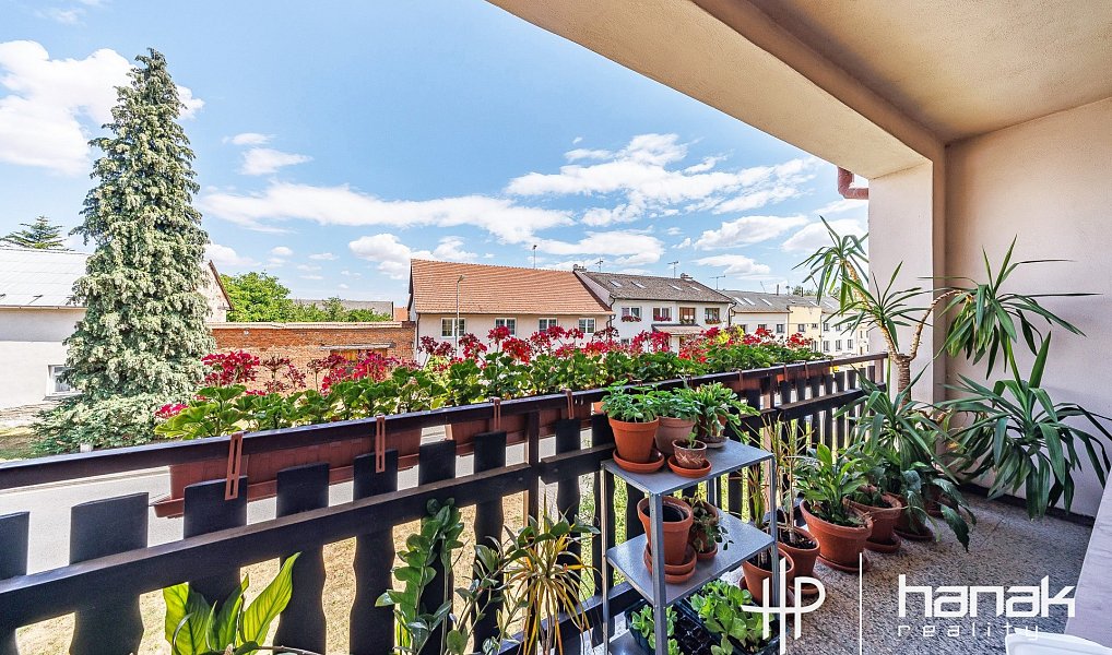 Prodej domu 243 m² s pozemkem 939 m², Hradčany-Kobeřice – náhled fotky 8
