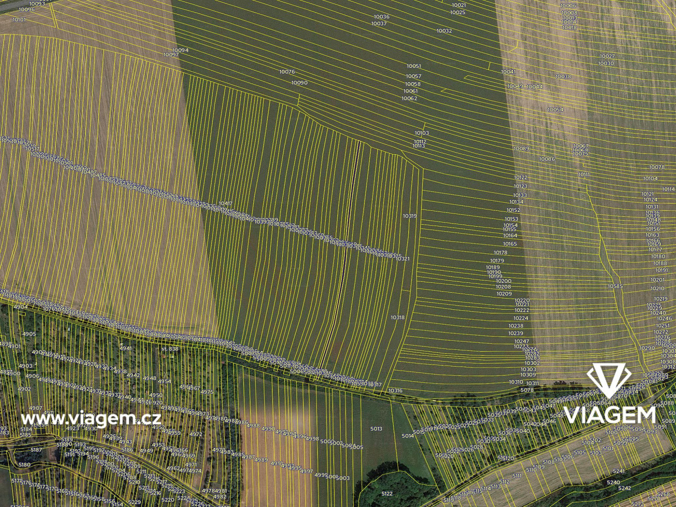 Prodej pole 257 m² – fotografie 4