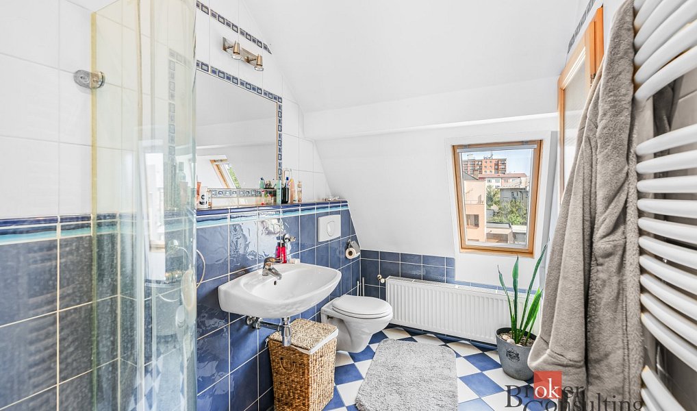 Prodej domu 250 m² s pozemkem 574 m², Plzeň – náhled fotky 20