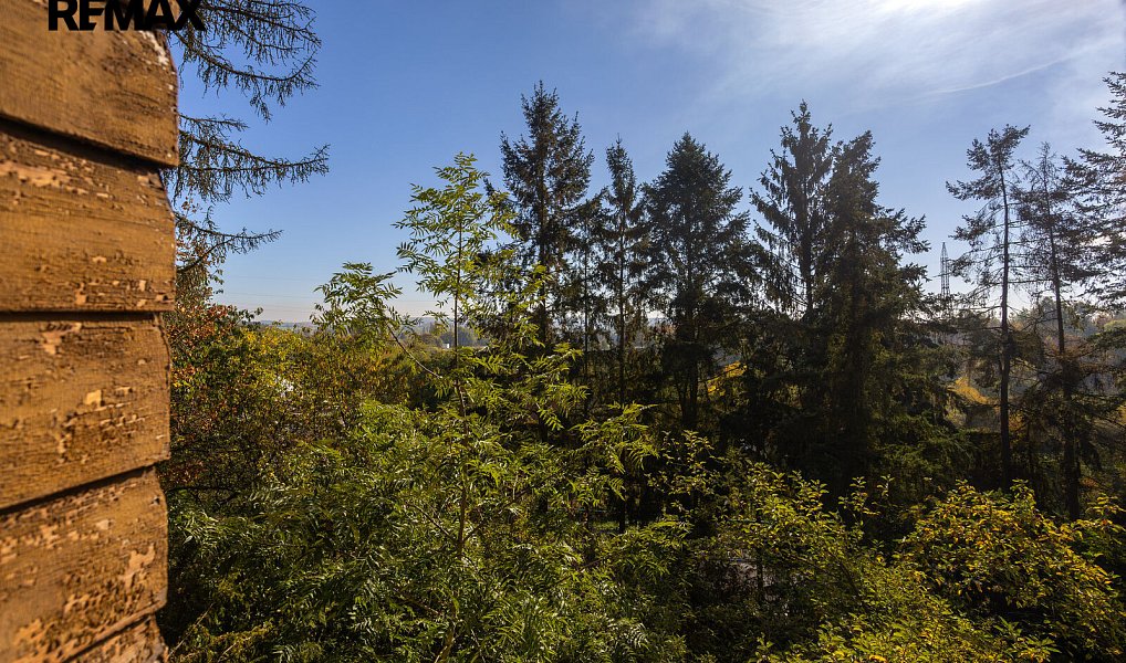 Prodej domu 100 m² s pozemkem 1 708 m², Plzeň – náhled fotky 18