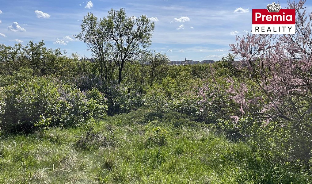 Prodej zahrady 2 423 m², Znojmo – náhled fotky 6