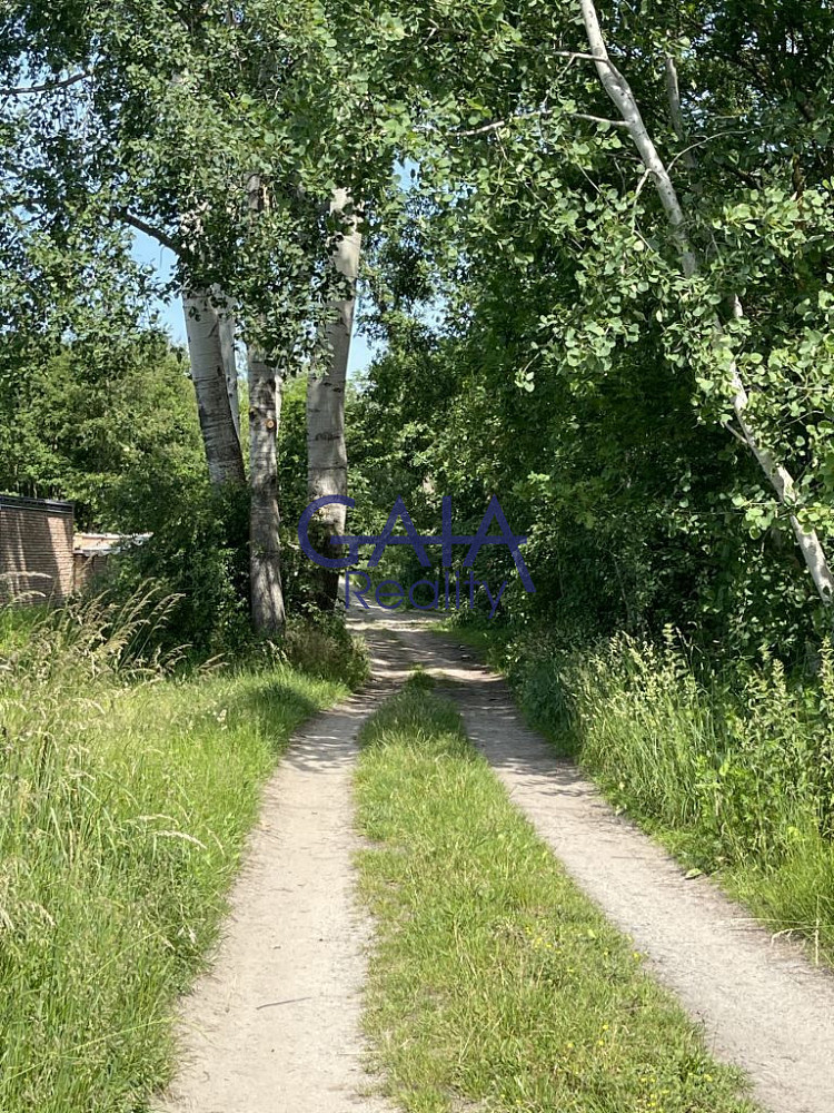 Fotka 6 z 16