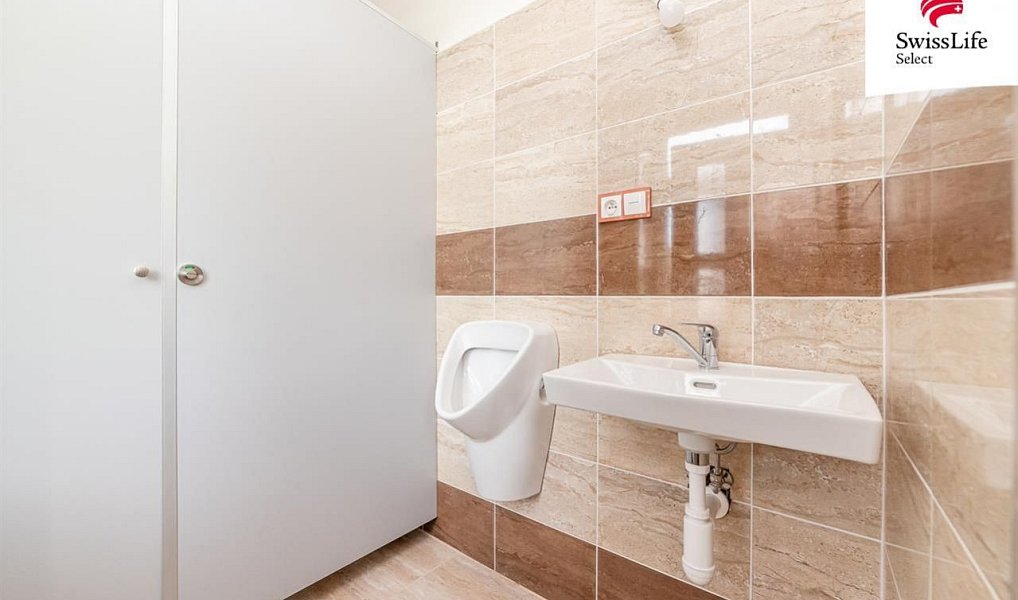 Pronájem obchodních prostor 230 m², Dobronín – náhled fotky 11
