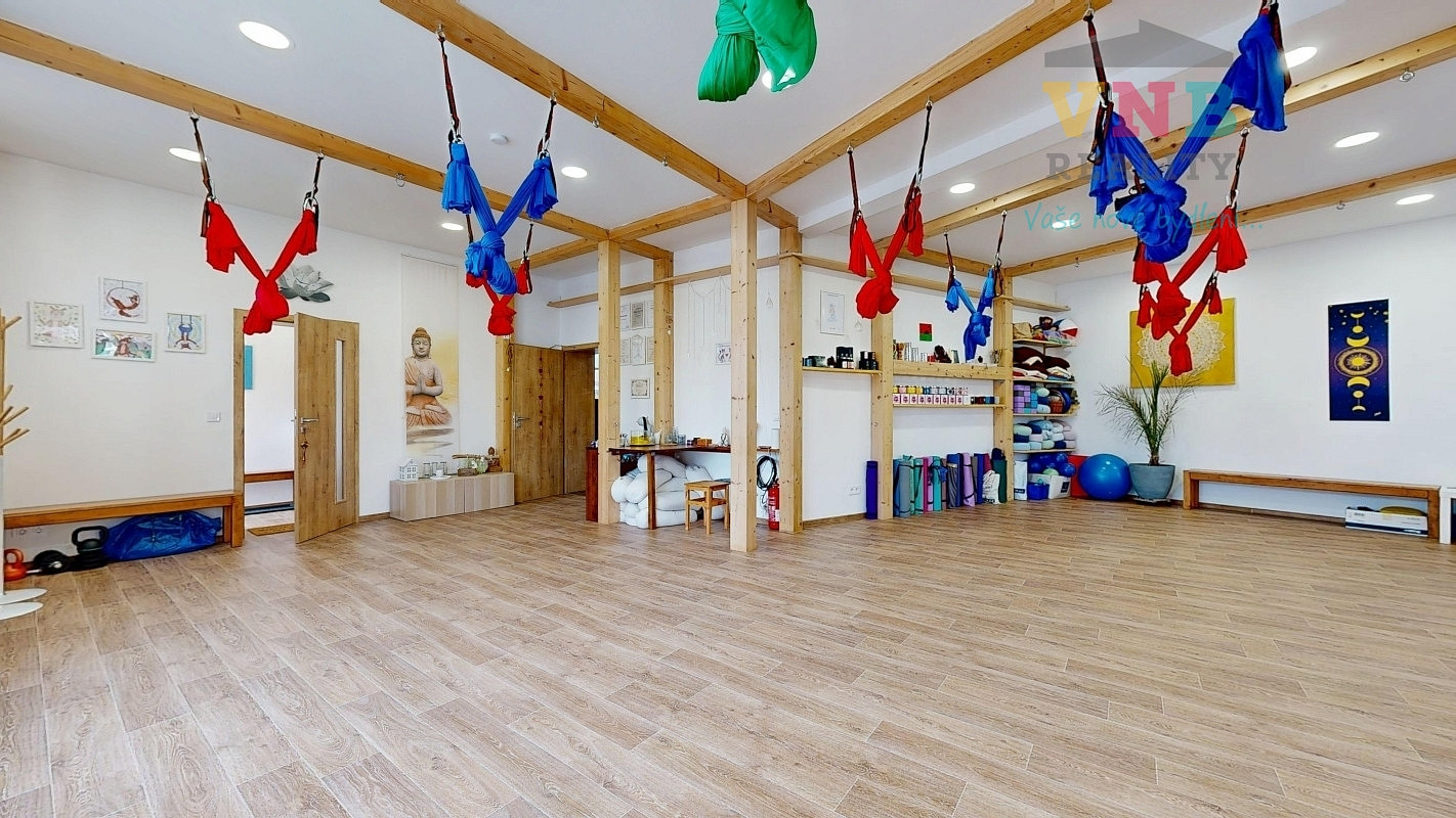 Prodej komerčního objektu (jiného typu) 205 m² – fotografie 3