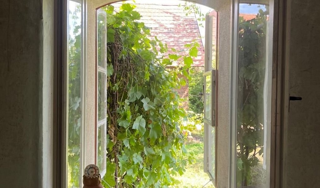 Prodej chaty/chalupy 134 m² s pozemkem 3 129 m², Nový Bydžov – náhled fotky 5