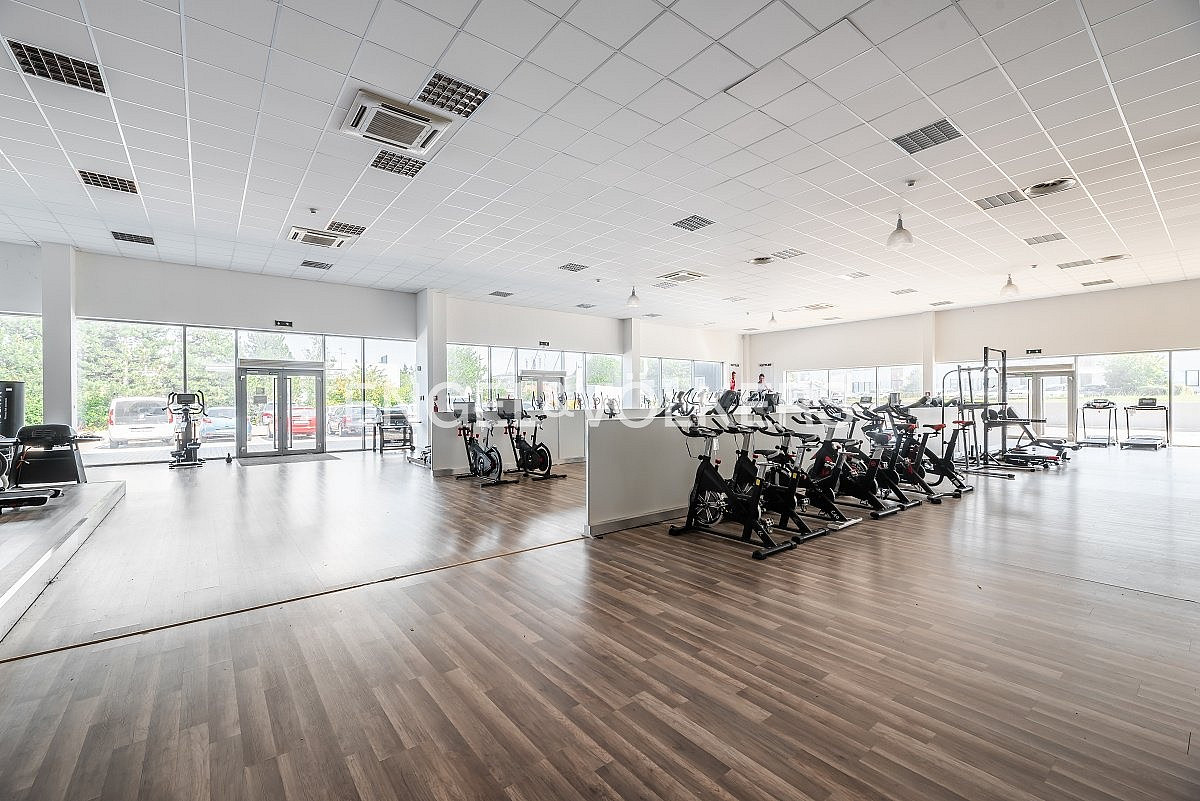 Pronájem obchodních prostor 343 m² – fotografie 2