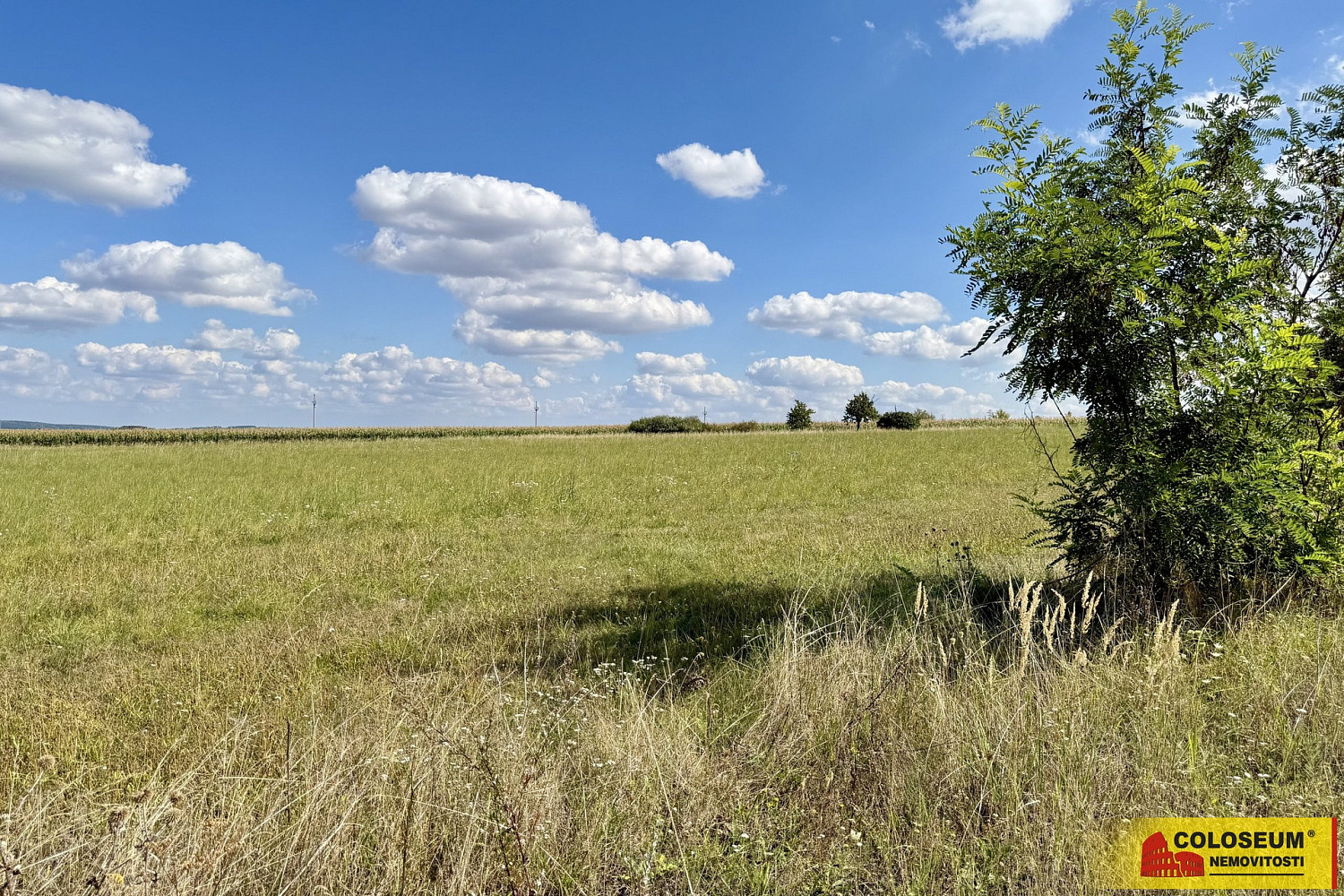 Prodej komerčního pozemku 22 332 m² – fotografie 4
