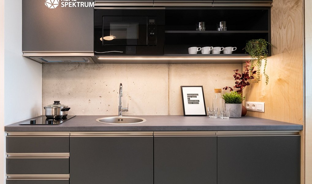 Pronájem bytu 1+kk 24 m², Brno – náhled fotky 3