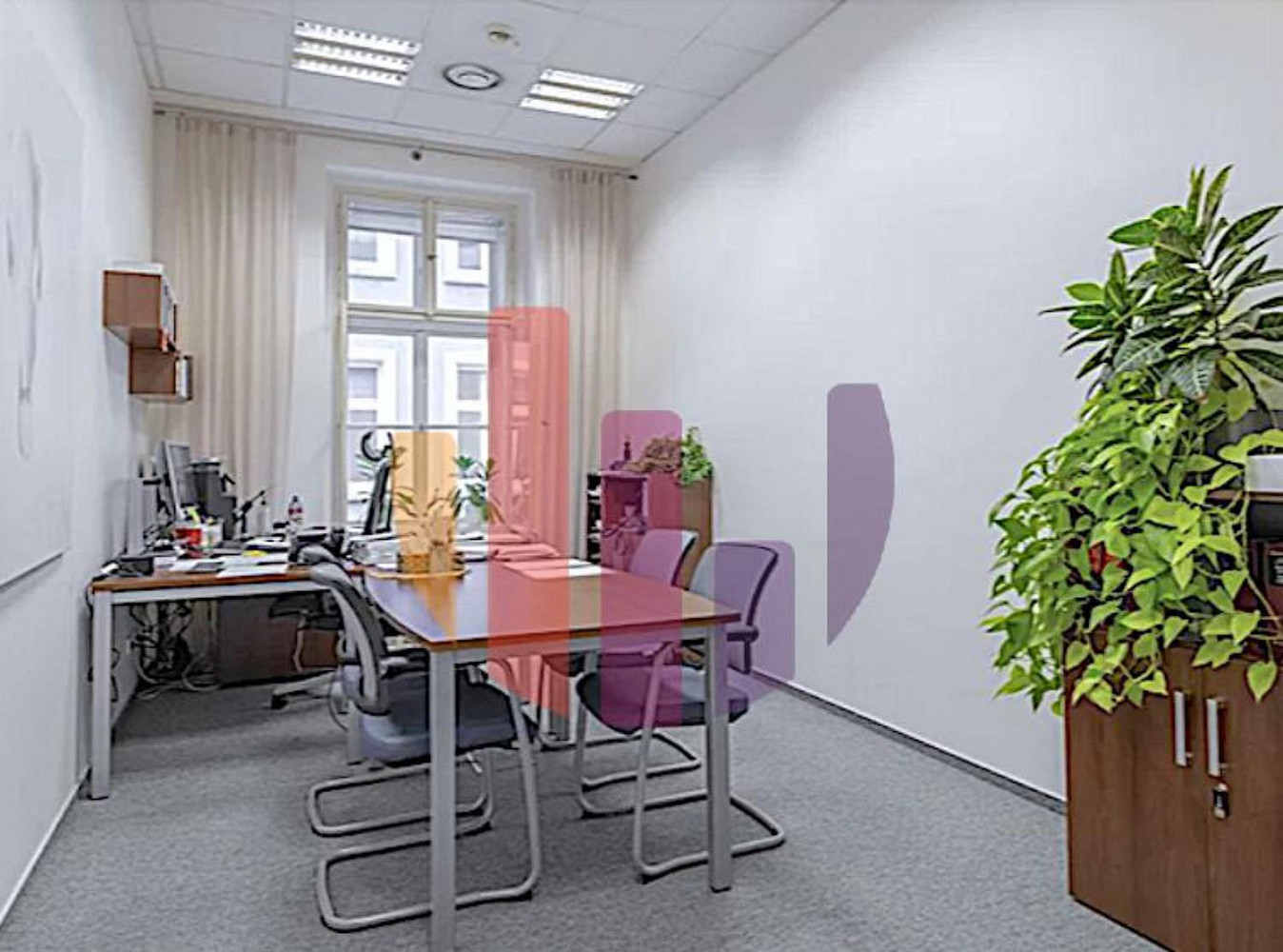 Pronájem kanceláře 300 m² — photo 3