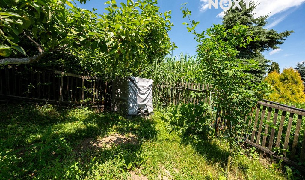 Prodej zahrady 446 m², Jílové – náhled fotky 7