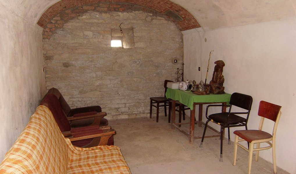 Prodej domu 100 m² s pozemkem 6 962 m², Jenišovice – náhled fotky 16