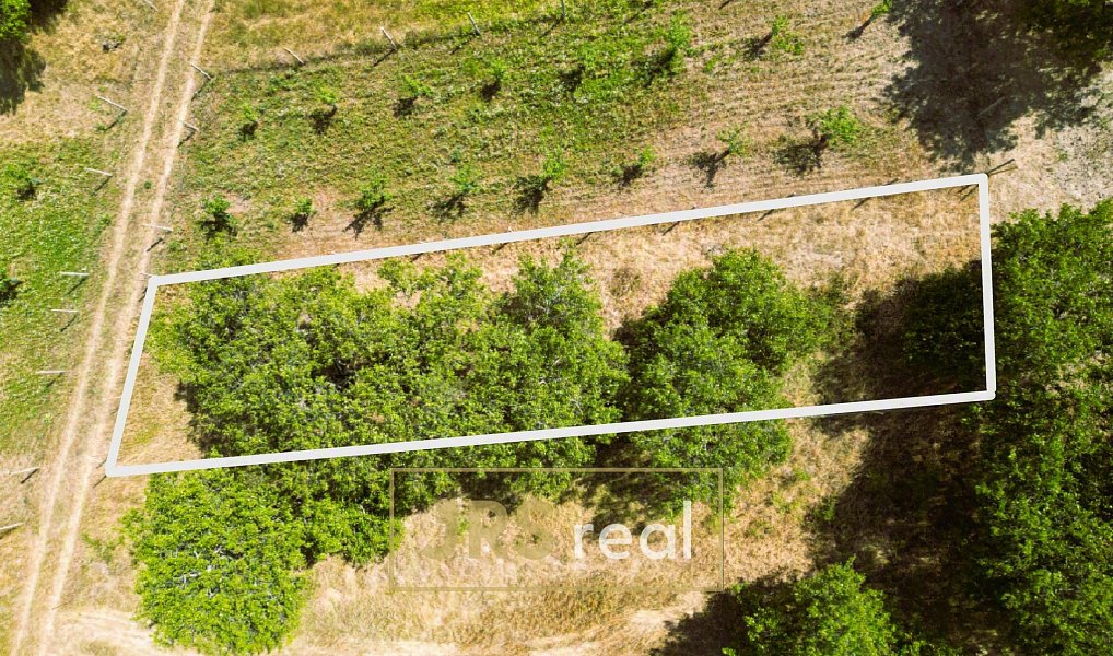 Prodej pole 358 m², Němčičky – náhled fotky 3