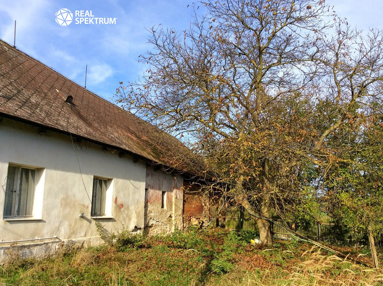 Prodej domu 250 m² s pozemkem 2 793 m² – fotografie 4