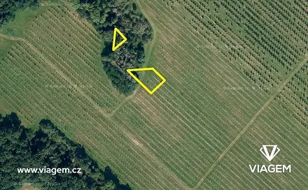 Prodej lesa 376 m², Semtěš, okres Kutná Hora