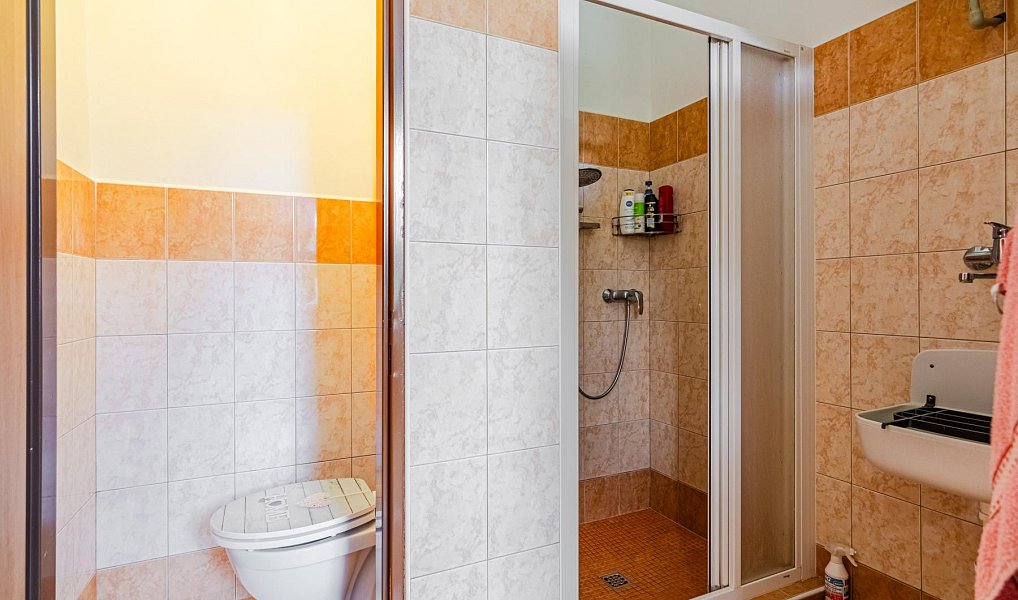 Prodej domu 358 m² s pozemkem 520 m², Slabce – náhled fotky 18