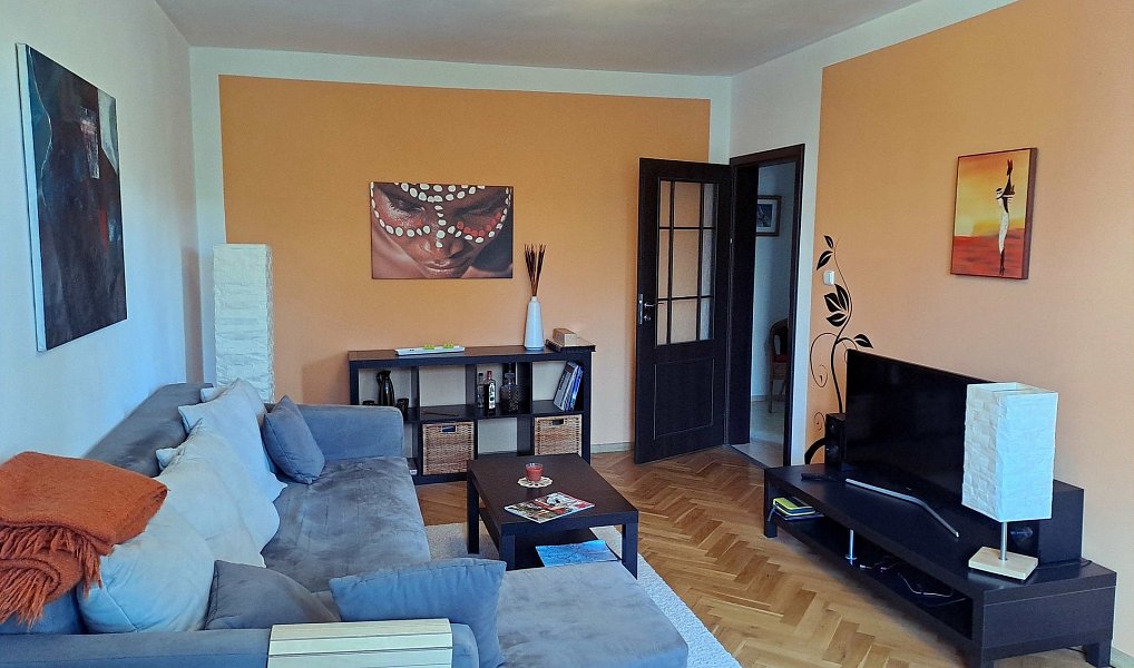 Pronájem bytu 2+1 60 m², Karlovy Vary – náhled fotky 6