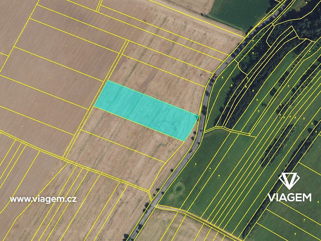 Prodej pole 2 160 m² – fotografie 3