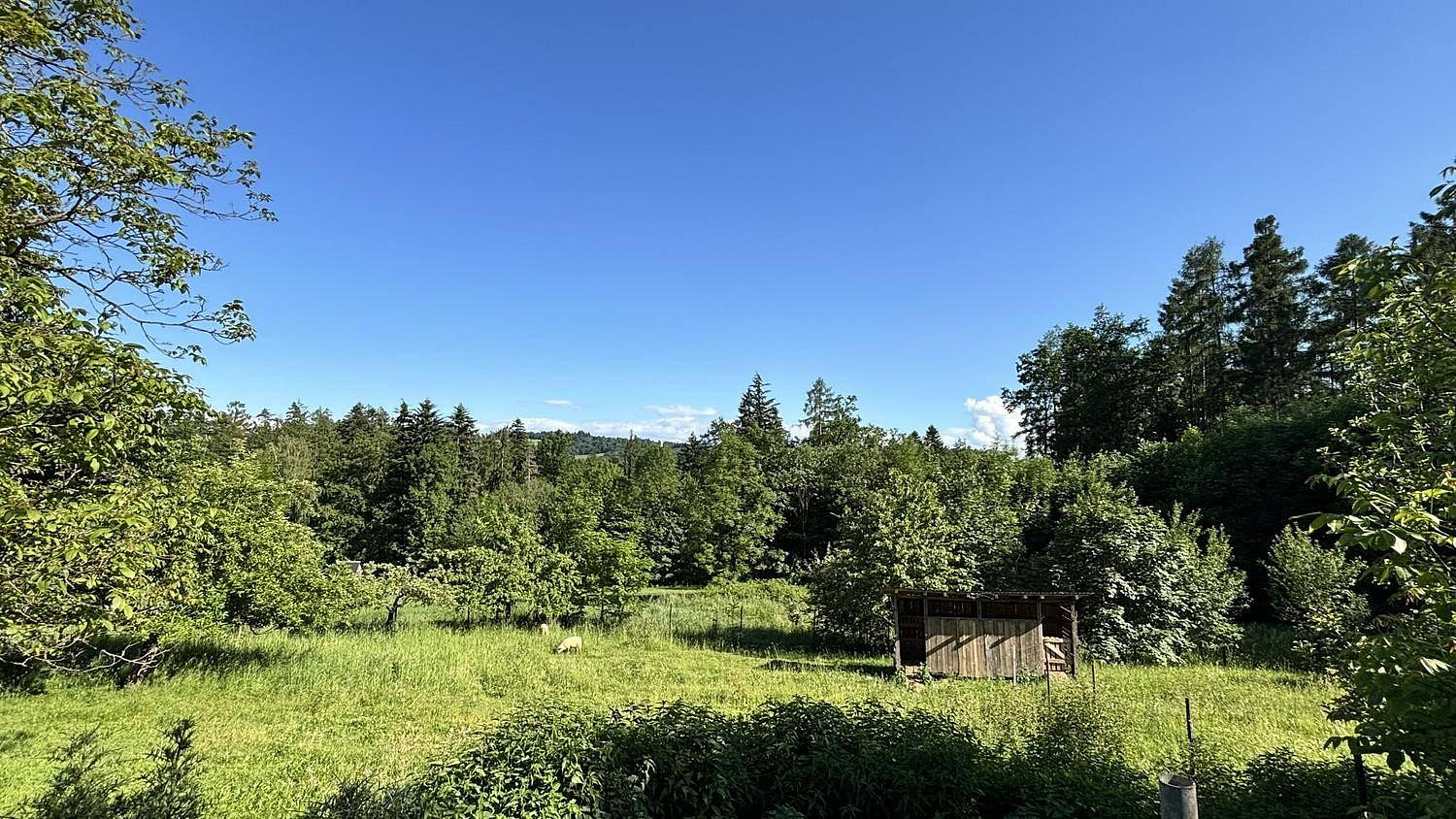 Dům – Třinec, Kojkovice – pohled 5