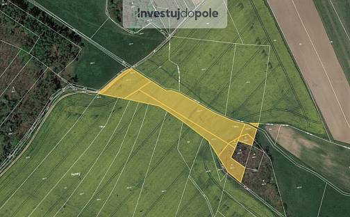 Prodej pole 7 567 m², Týnec nad Labem - Vinařice, okres Kolín
